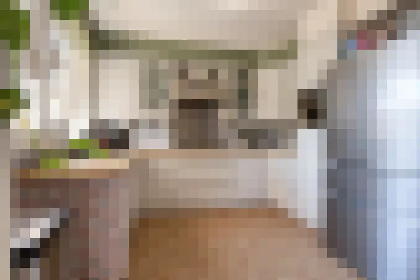 de Butstraat 21 Hulst thumbnail 11