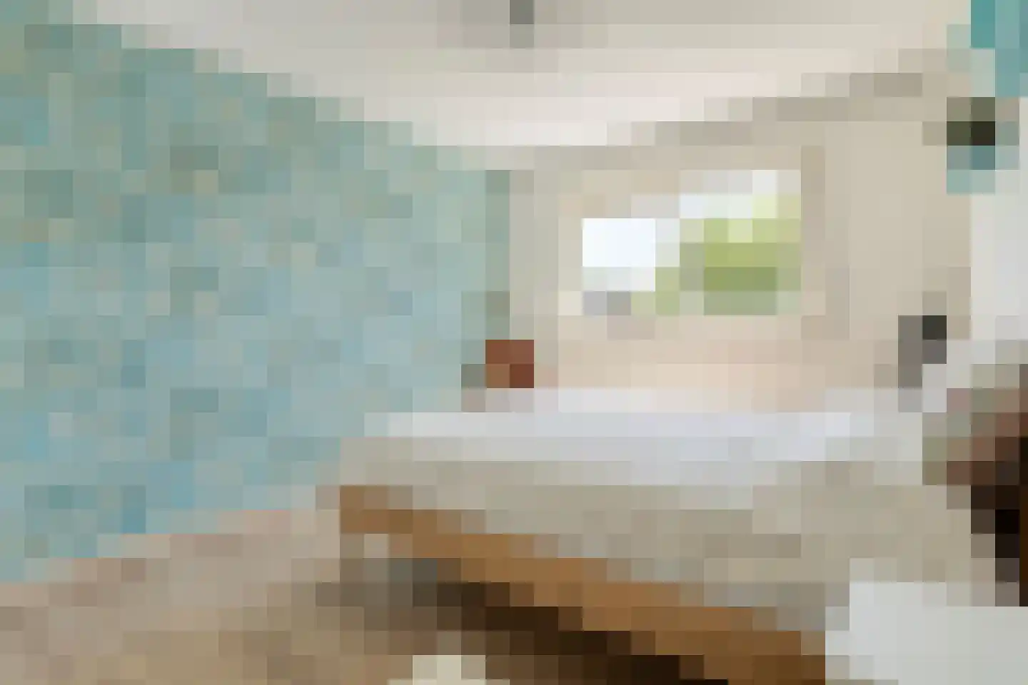 de Butstraat 21 Hulst thumbnail 16