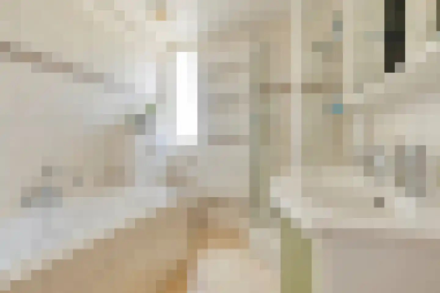 de Butstraat 21 Hulst thumbnail 18