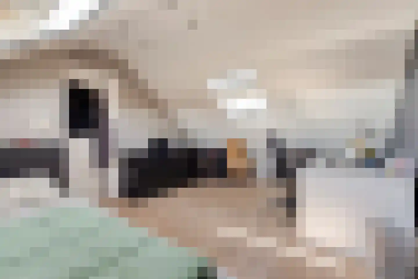de Butstraat 21 Hulst thumbnail 26
