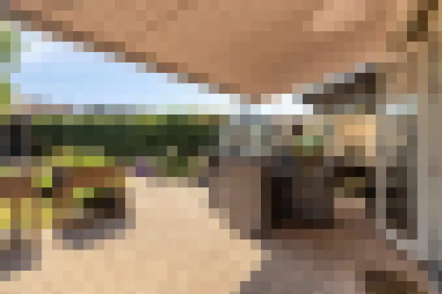 de Butstraat 21 Hulst thumbnail 27