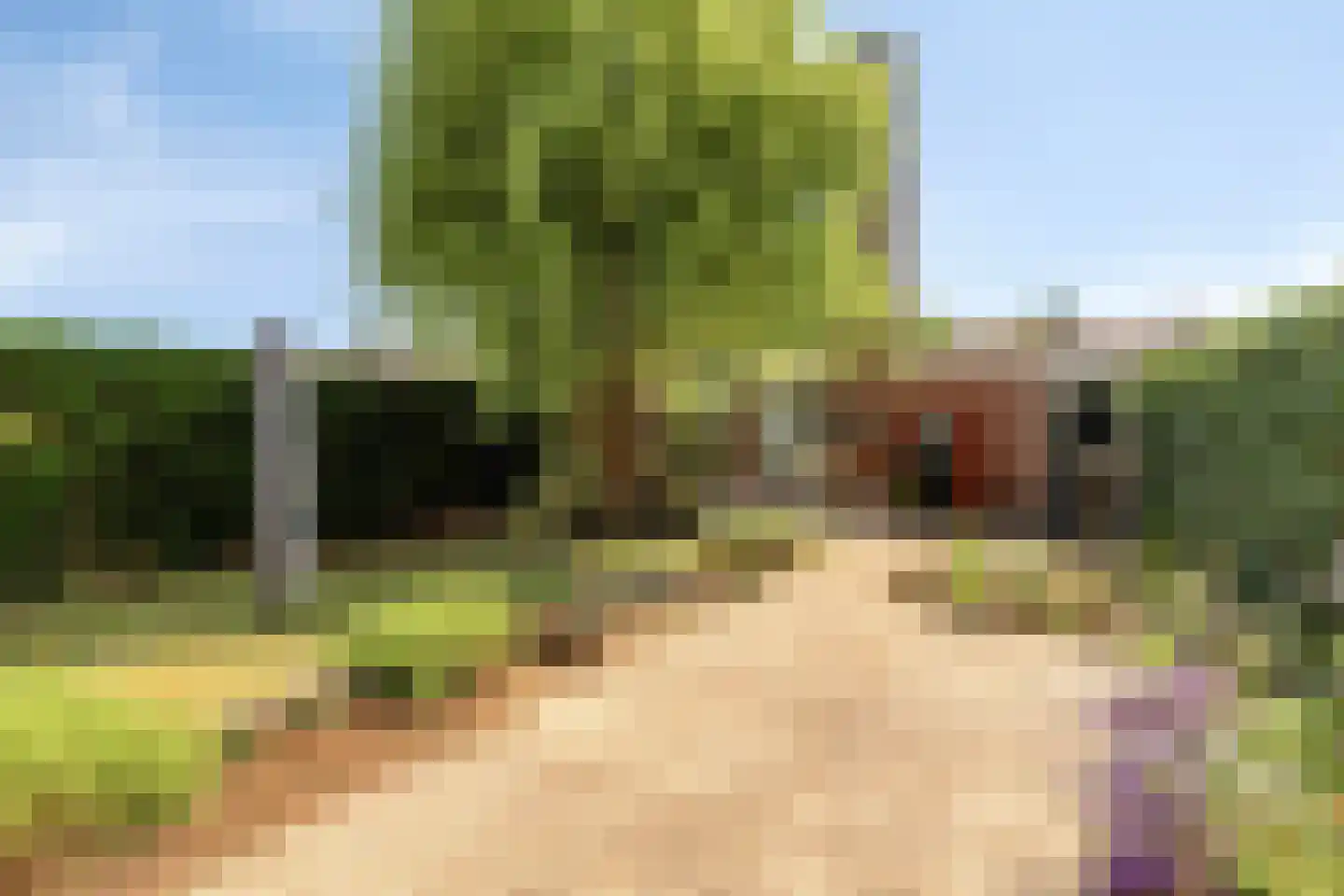 de Butstraat 21 Hulst thumbnail 28