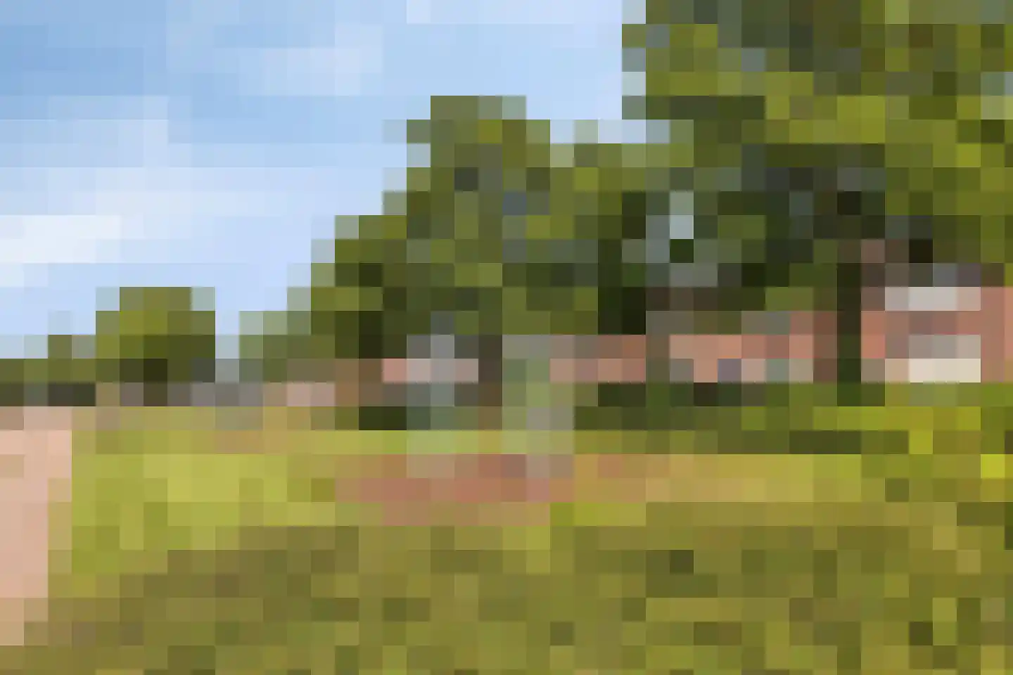 de Butstraat 21 Hulst thumbnail 33