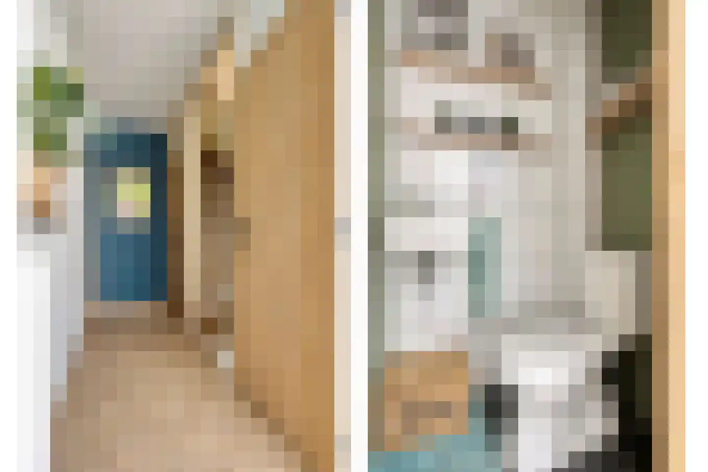 de Butstraat 21 Hulst thumbnail 4