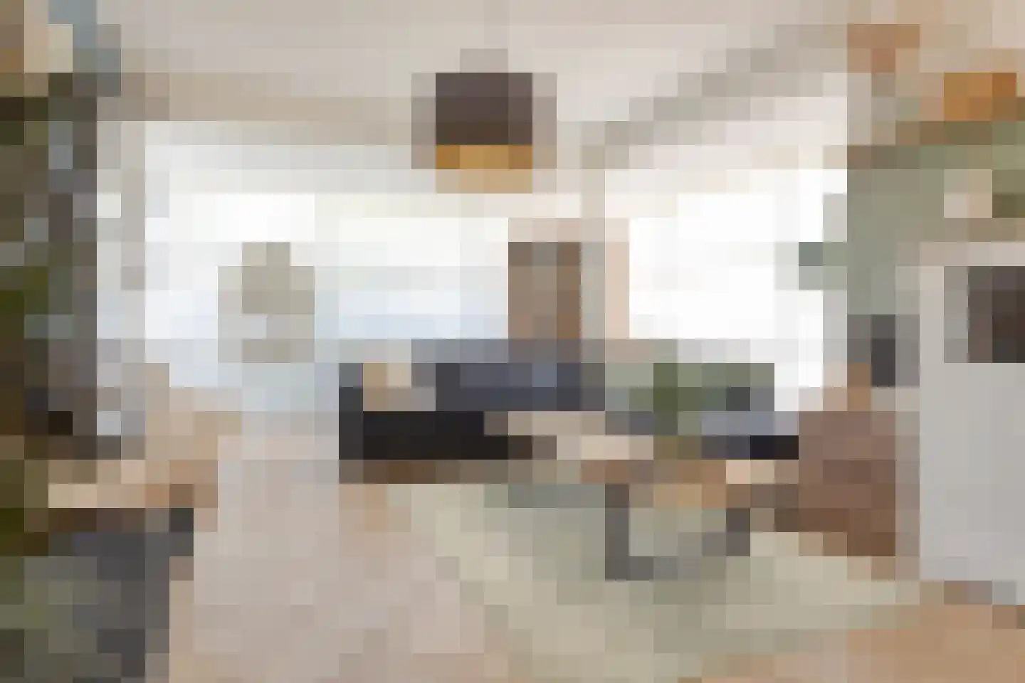 de Butstraat 21 Hulst thumbnail 6
