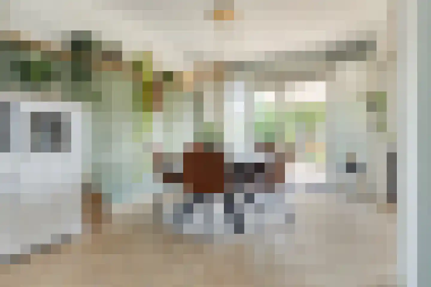 de Butstraat 21 Hulst thumbnail 8