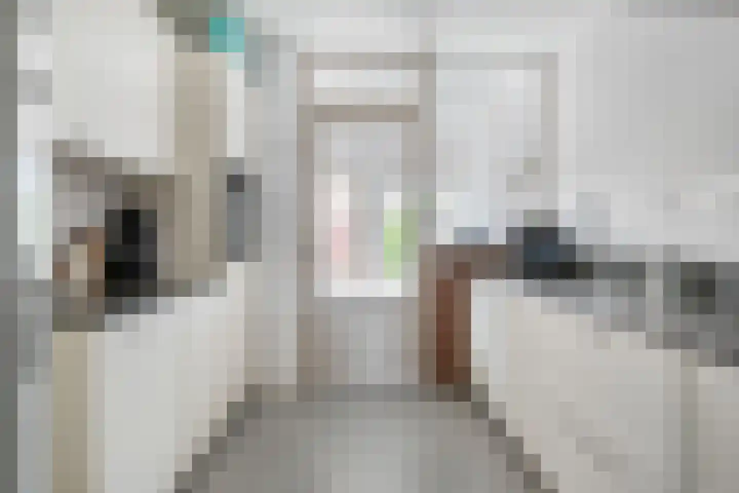 de Butstraat 3 Hulst thumbnail 11