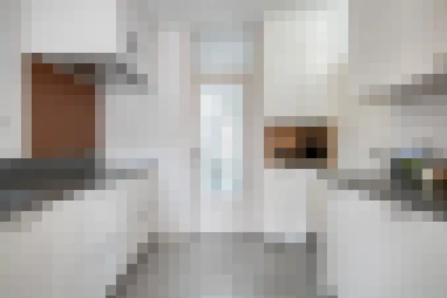 de Butstraat 3 Hulst thumbnail 12