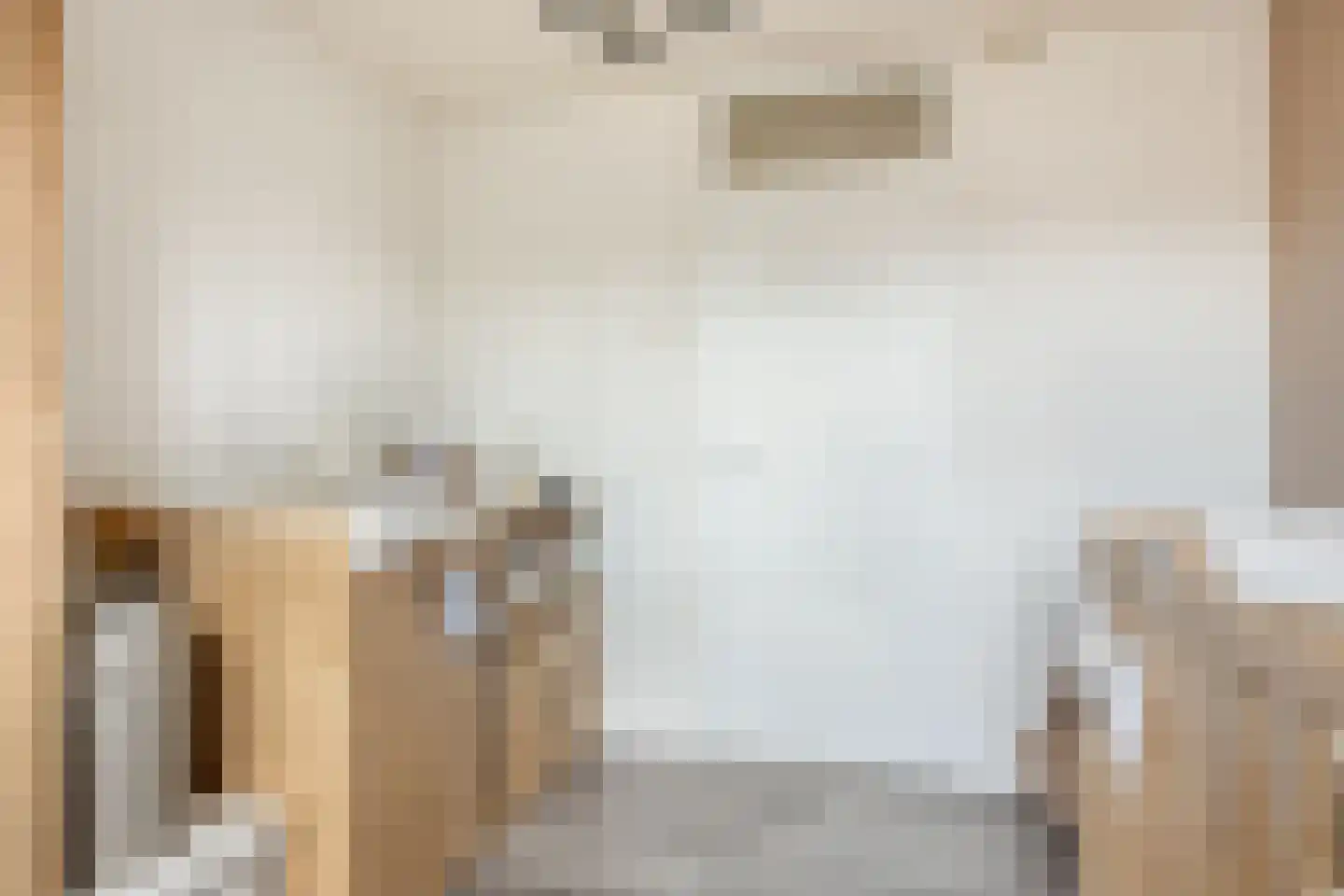 de Butstraat 3 Hulst thumbnail 22