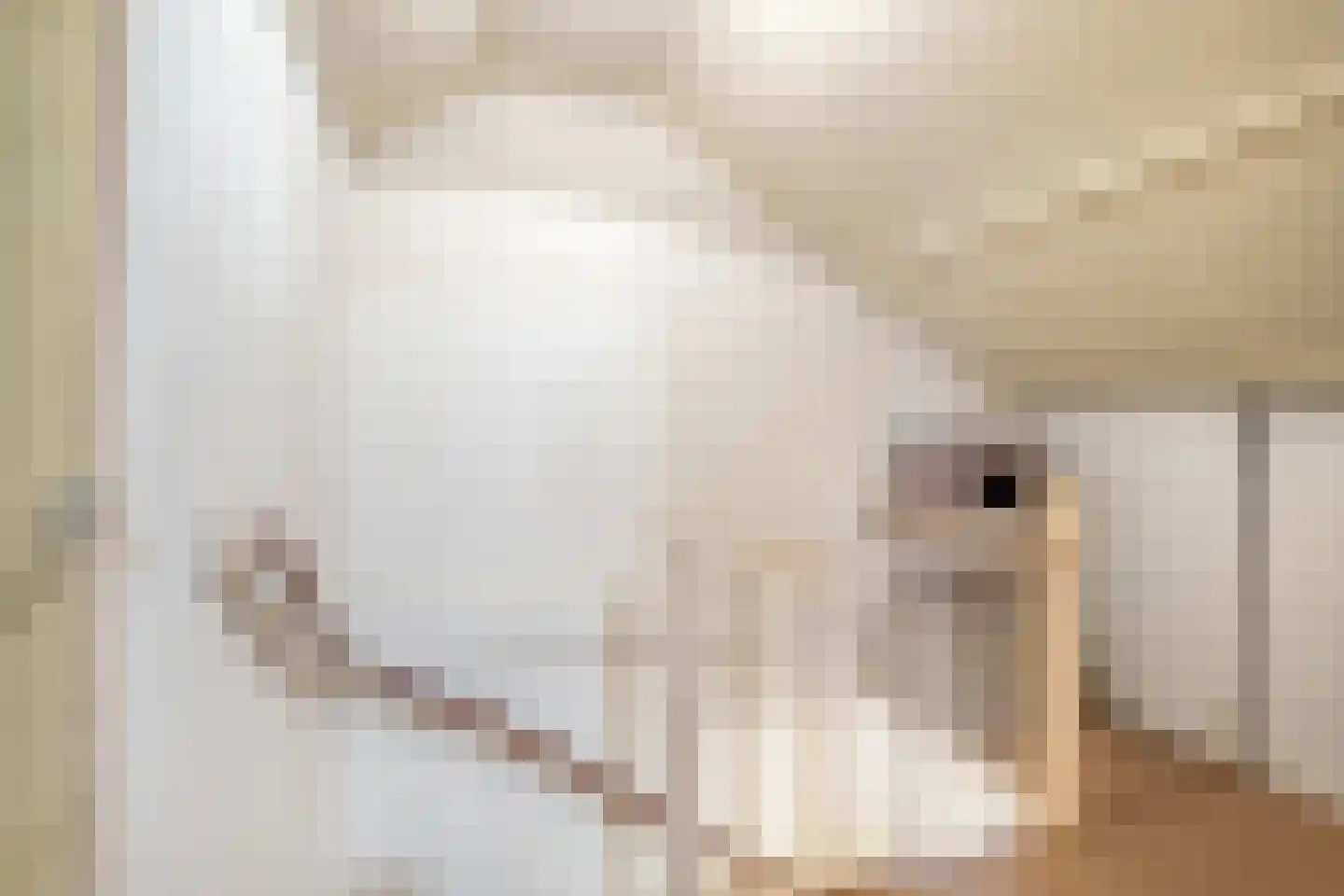 de Butstraat 3 Hulst thumbnail 27