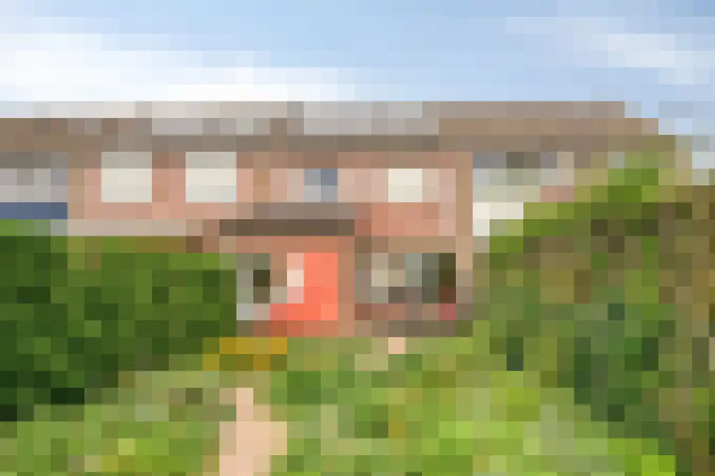 de Butstraat 3 Hulst thumbnail 29