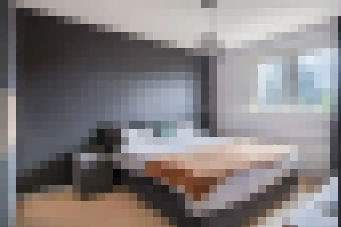 de Butstraat 3 Hulst thumbnail 4