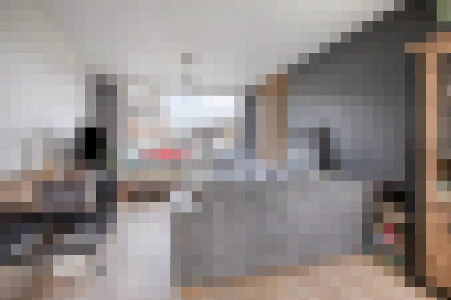 de Butstraat 3 Hulst thumbnail 7