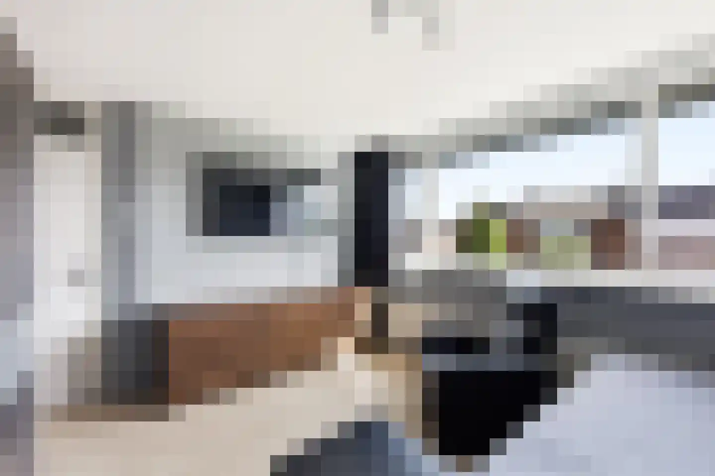 de Butstraat 43 Hulst thumbnail 11
