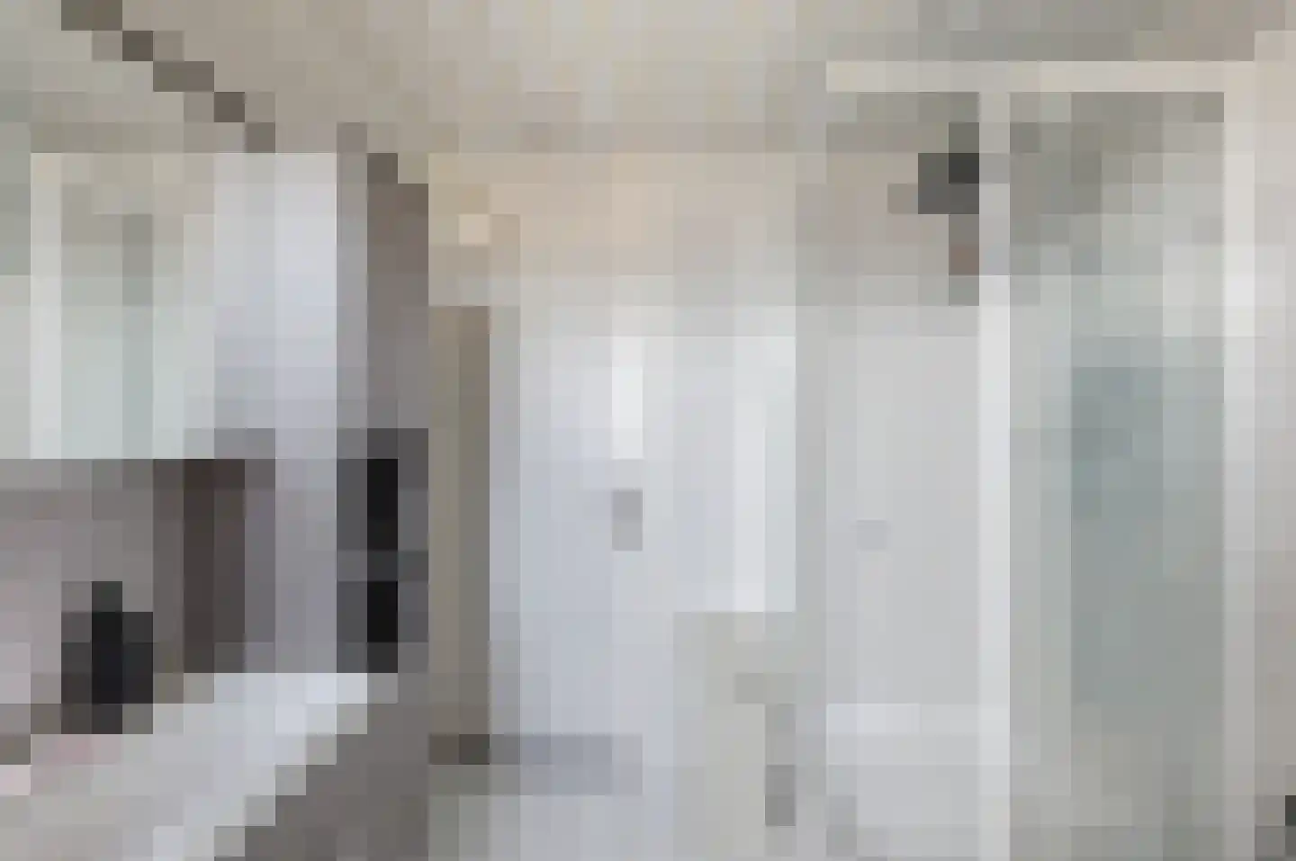 de Butstraat 43 Hulst thumbnail 15