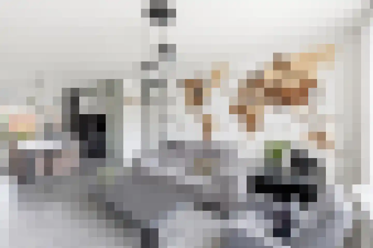 de Butstraat 43 Hulst thumbnail 7