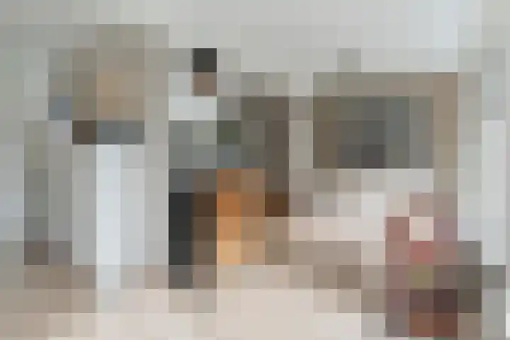 De Buunder 21 Biezenmortel thumbnail 13