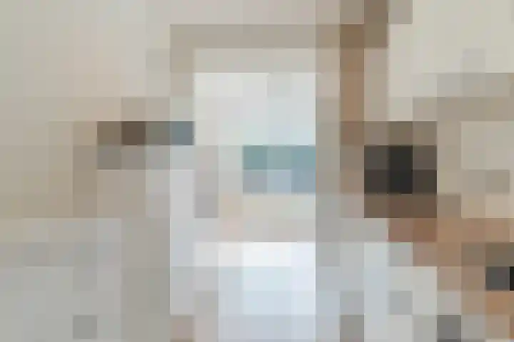 De Buunder 21 Biezenmortel thumbnail 15