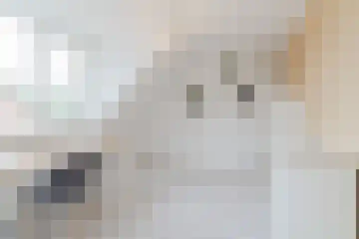De Buunder 21 Biezenmortel thumbnail 21