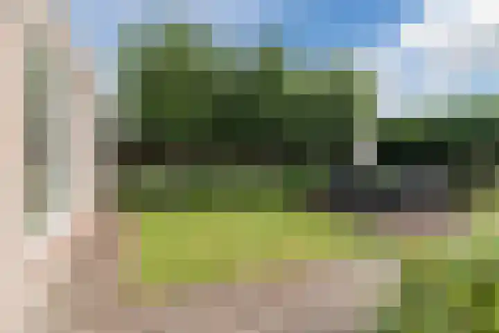 De Buunder 21 Biezenmortel thumbnail 27