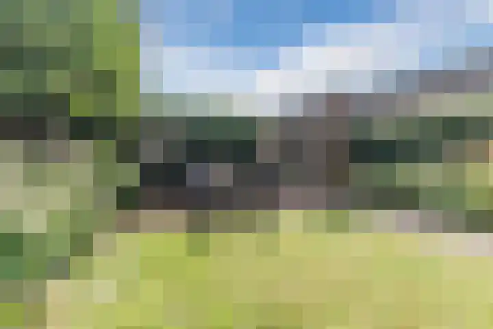 De Buunder 21 Biezenmortel thumbnail 28