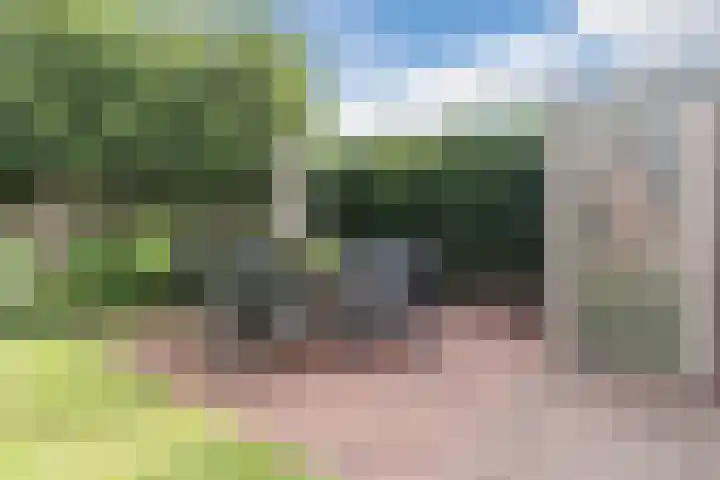 De Buunder 21 Biezenmortel thumbnail 29