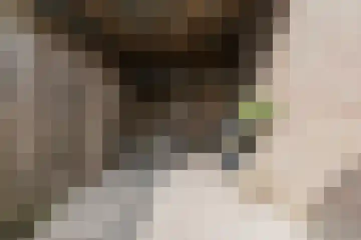 De Buunder 21 Biezenmortel thumbnail 31