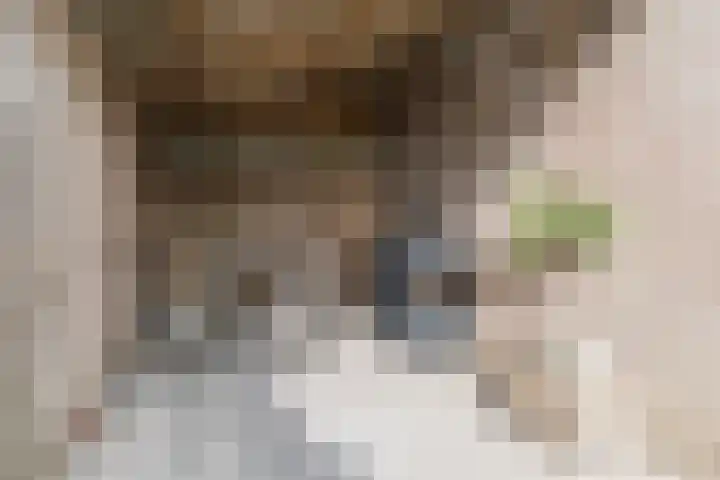 De Buunder 21 Biezenmortel thumbnail 32