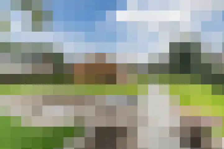 De Buunder 21 Biezenmortel thumbnail 33