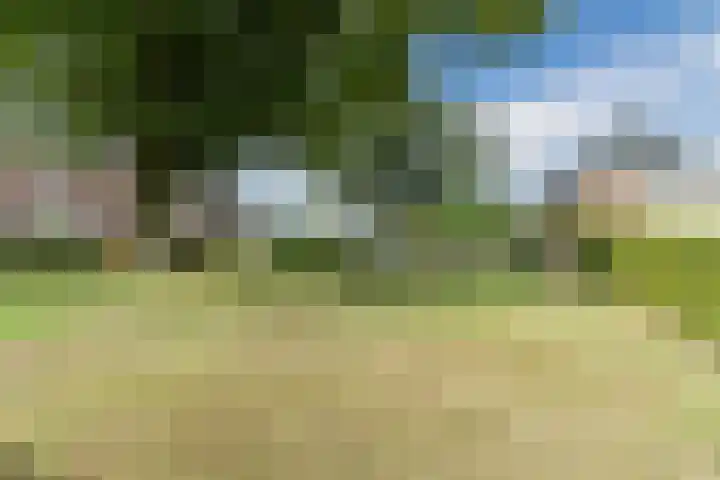 De Buunder 21 Biezenmortel thumbnail 34