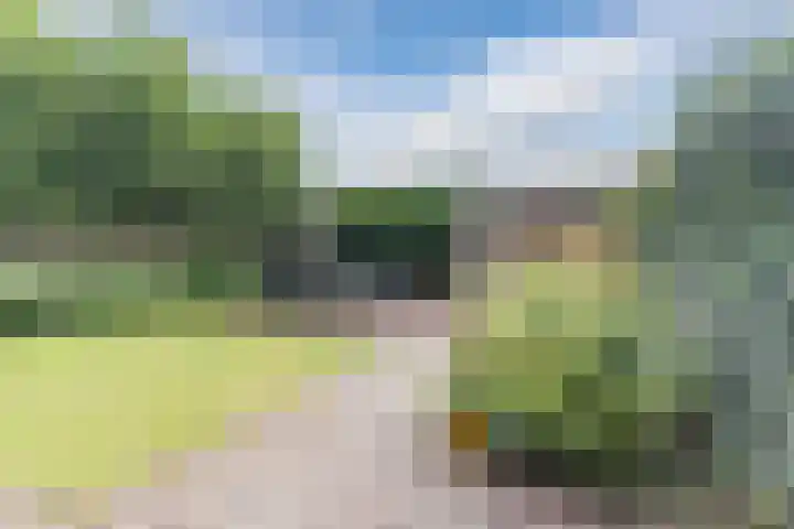 De Buunder 21 Biezenmortel thumbnail 4