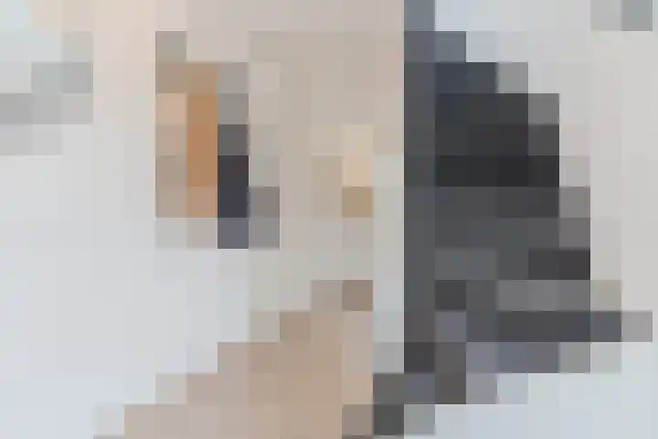 De Buunder 21 Biezenmortel thumbnail 8