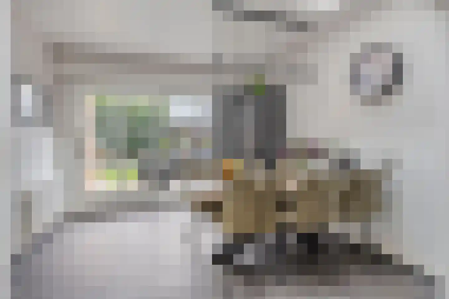 De Buunder 35 Biezenmortel thumbnail 10