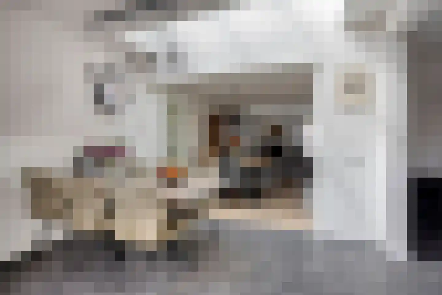 De Buunder 35 Biezenmortel thumbnail 11