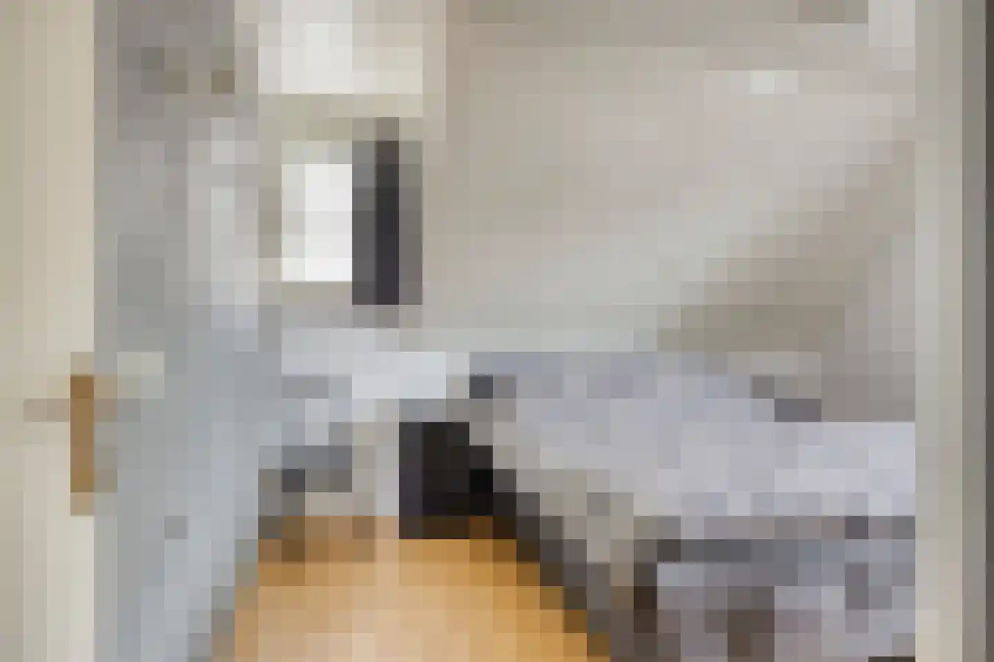 De Buunder 35 Biezenmortel thumbnail 20