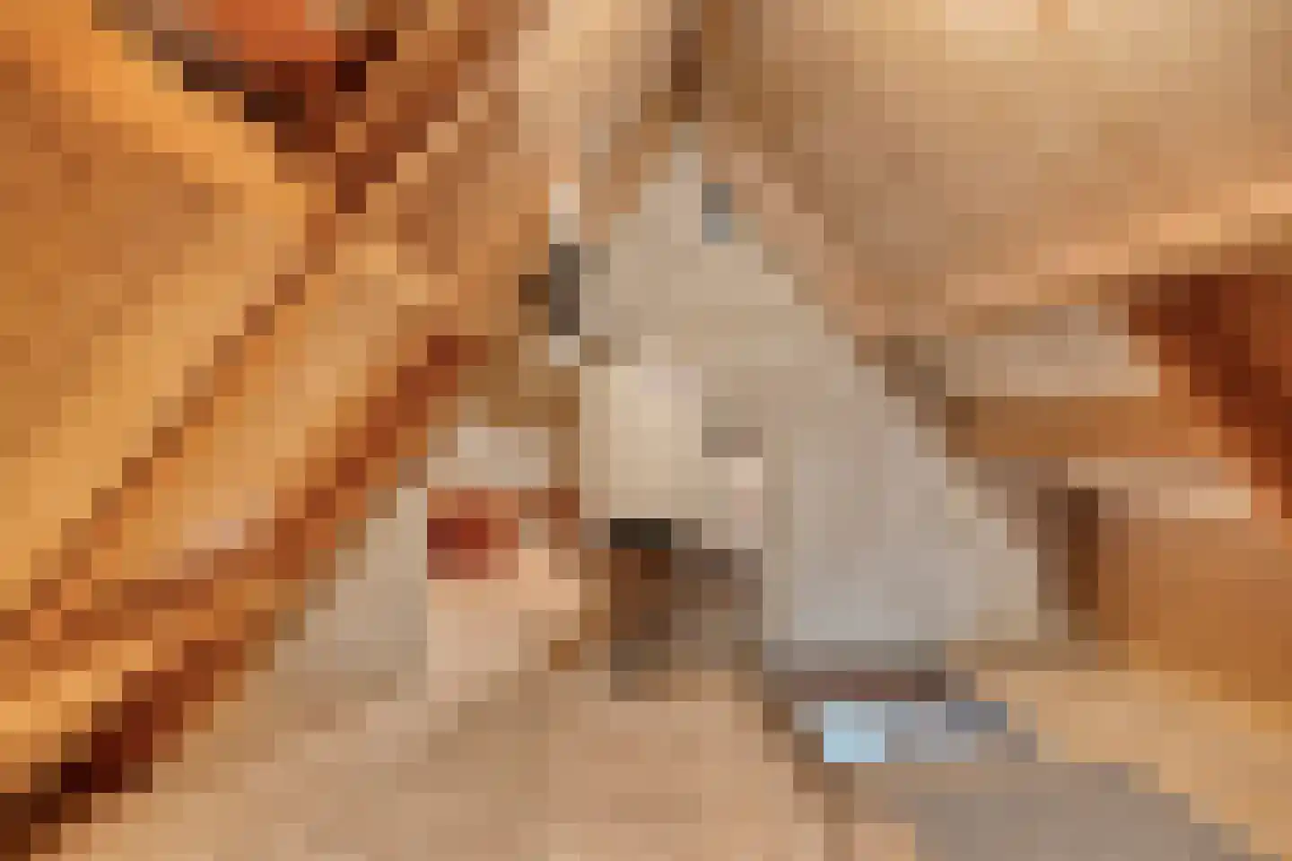 De Buunder 35 Biezenmortel thumbnail 31