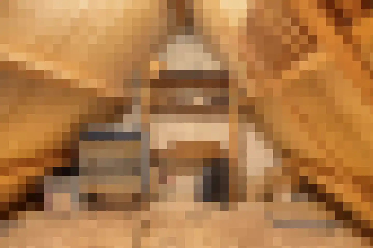 De Buunder 35 Biezenmortel thumbnail 32
