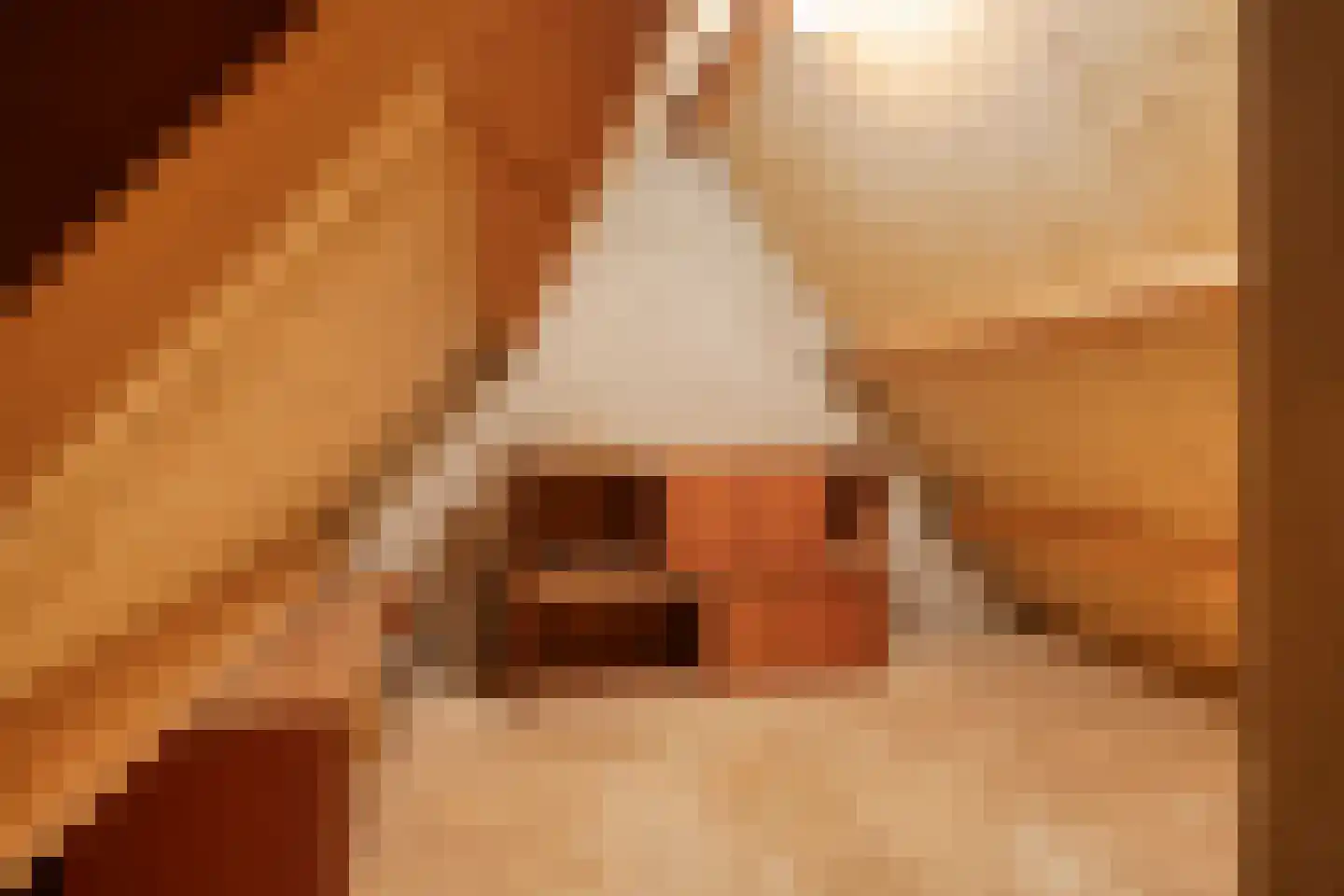 De Buunder 35 Biezenmortel thumbnail 33
