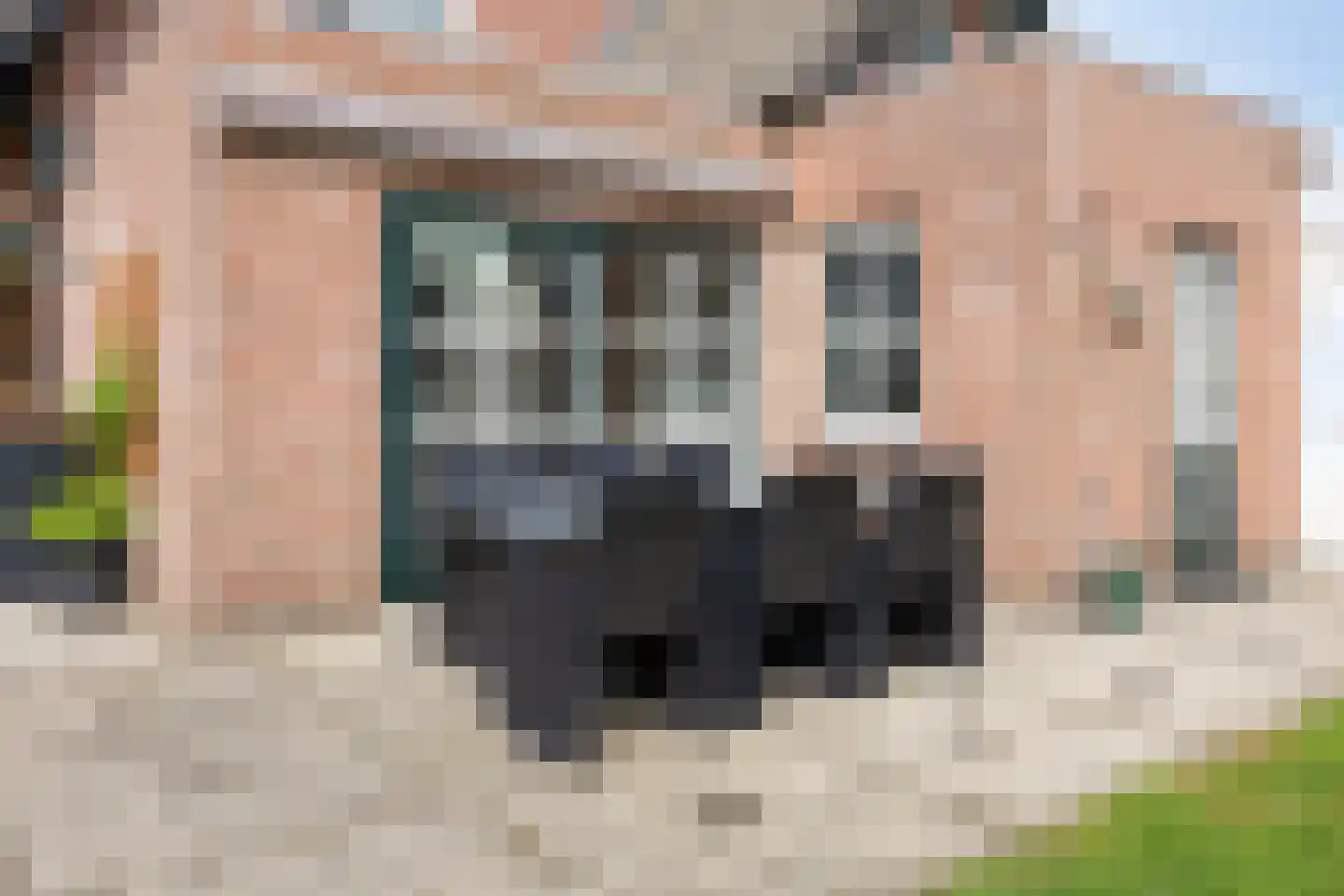 De Buunder 35 Biezenmortel thumbnail 37