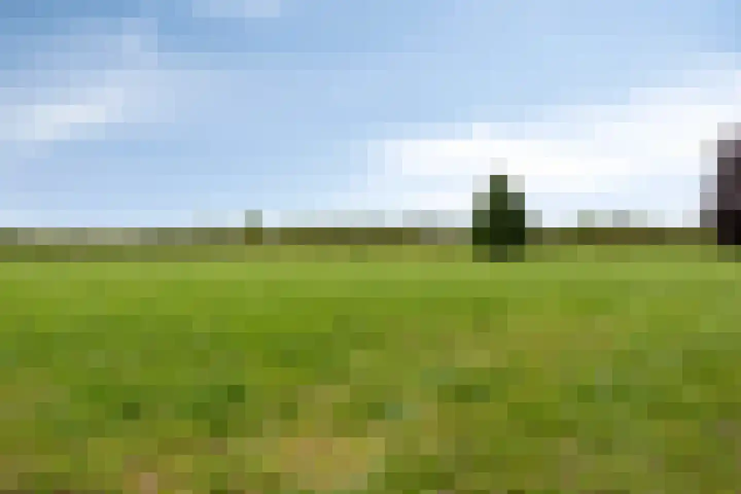De Buunder 35 Biezenmortel thumbnail 41