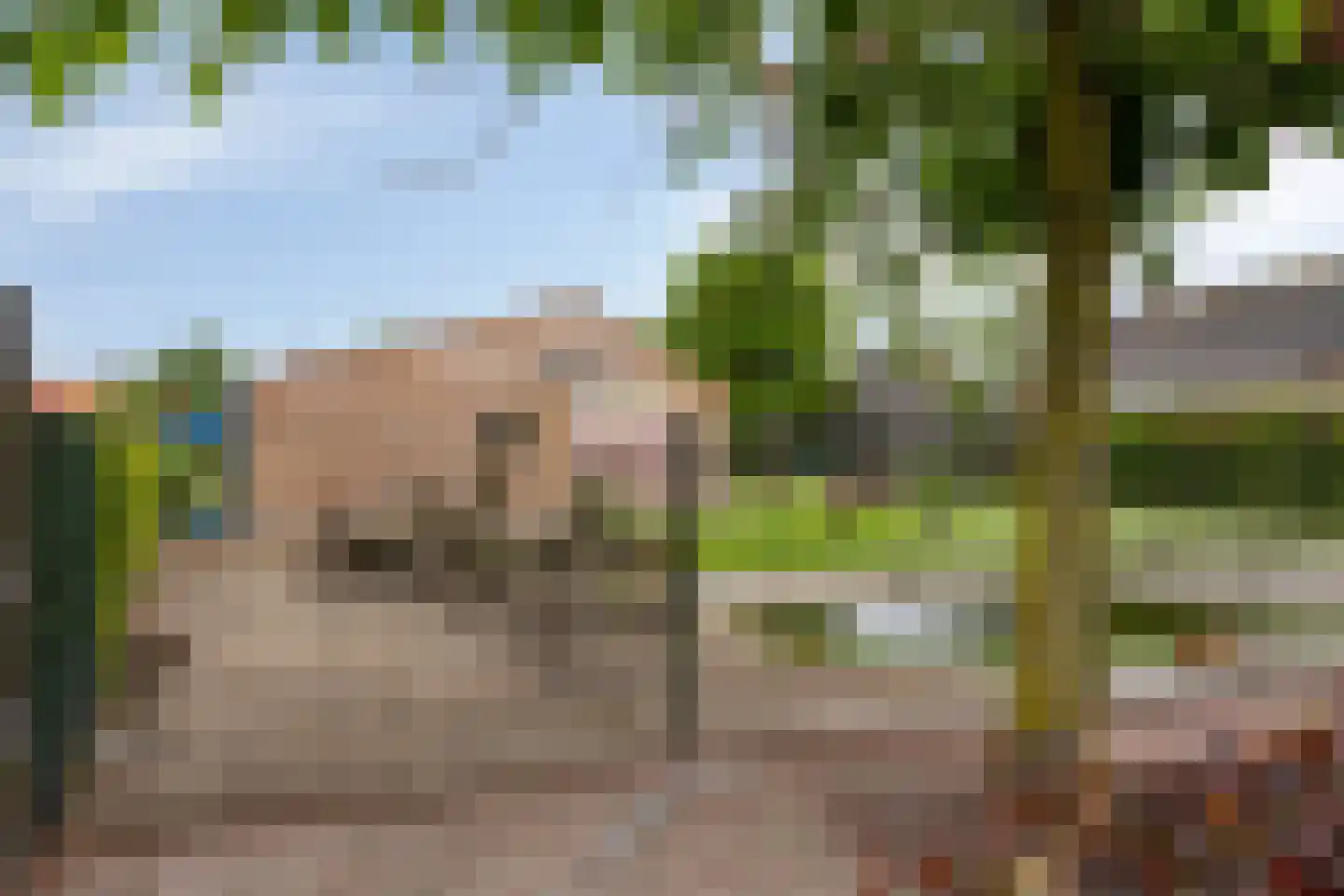 De Buunder 35 Biezenmortel thumbnail 42