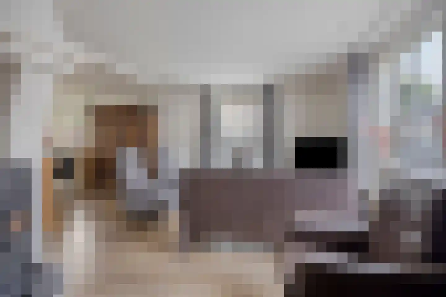 De Buunder 35 Biezenmortel thumbnail 6