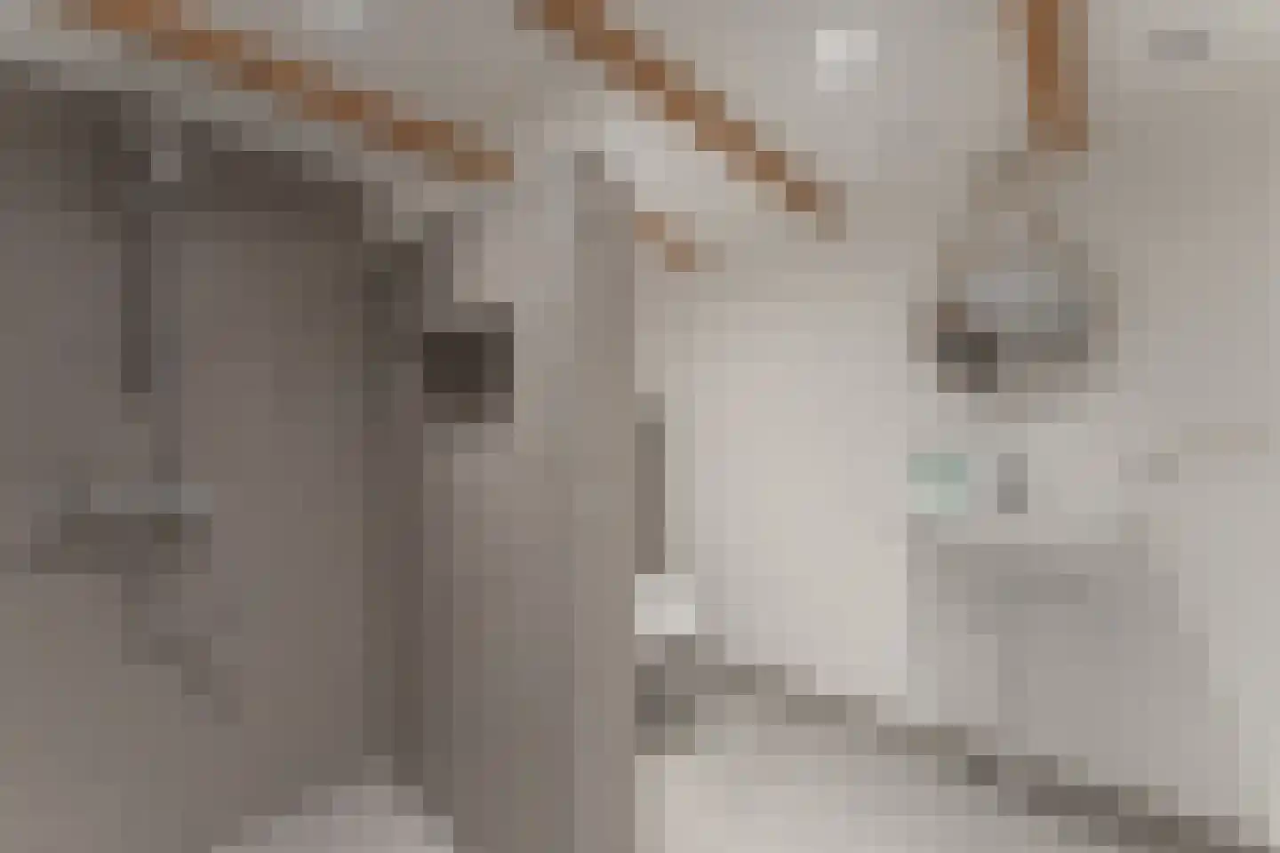 De Buurt 109 Venhuizen thumbnail 12