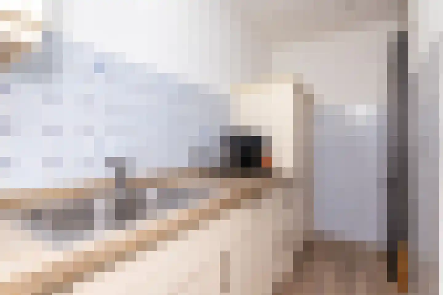 De Buurt 109 Venhuizen thumbnail 13
