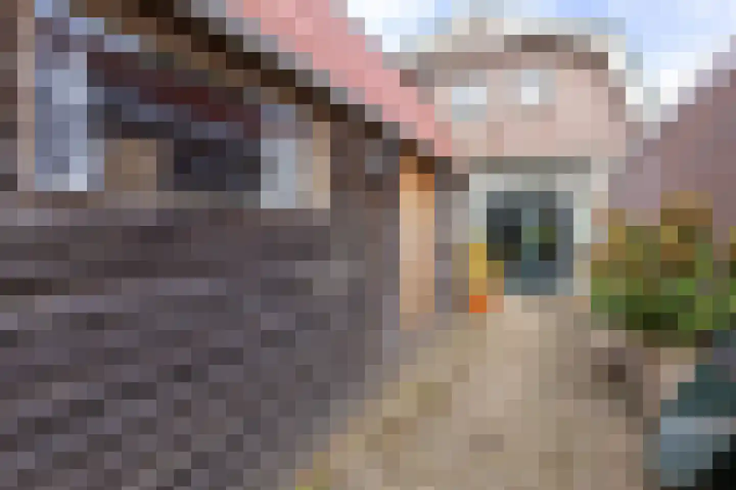 De Buurt 109 Venhuizen thumbnail 16