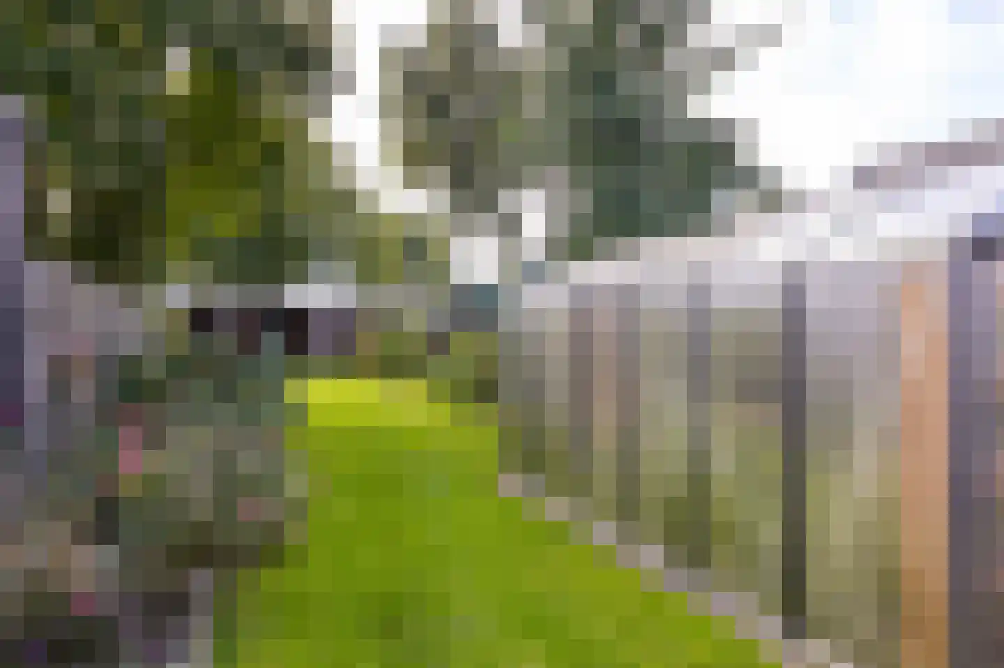 De Buurt 109 Venhuizen thumbnail 17