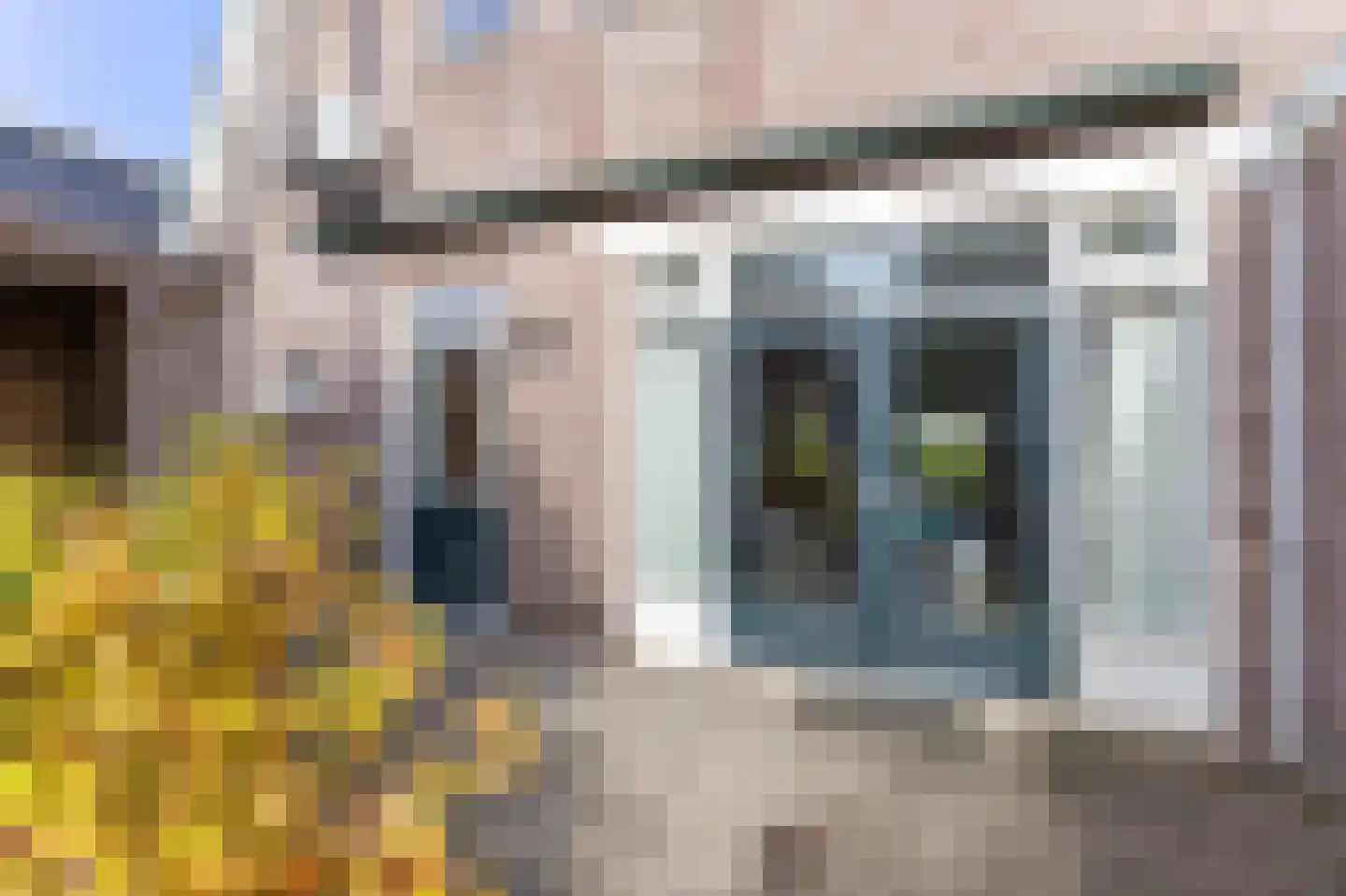 De Buurt 109 Venhuizen thumbnail 22