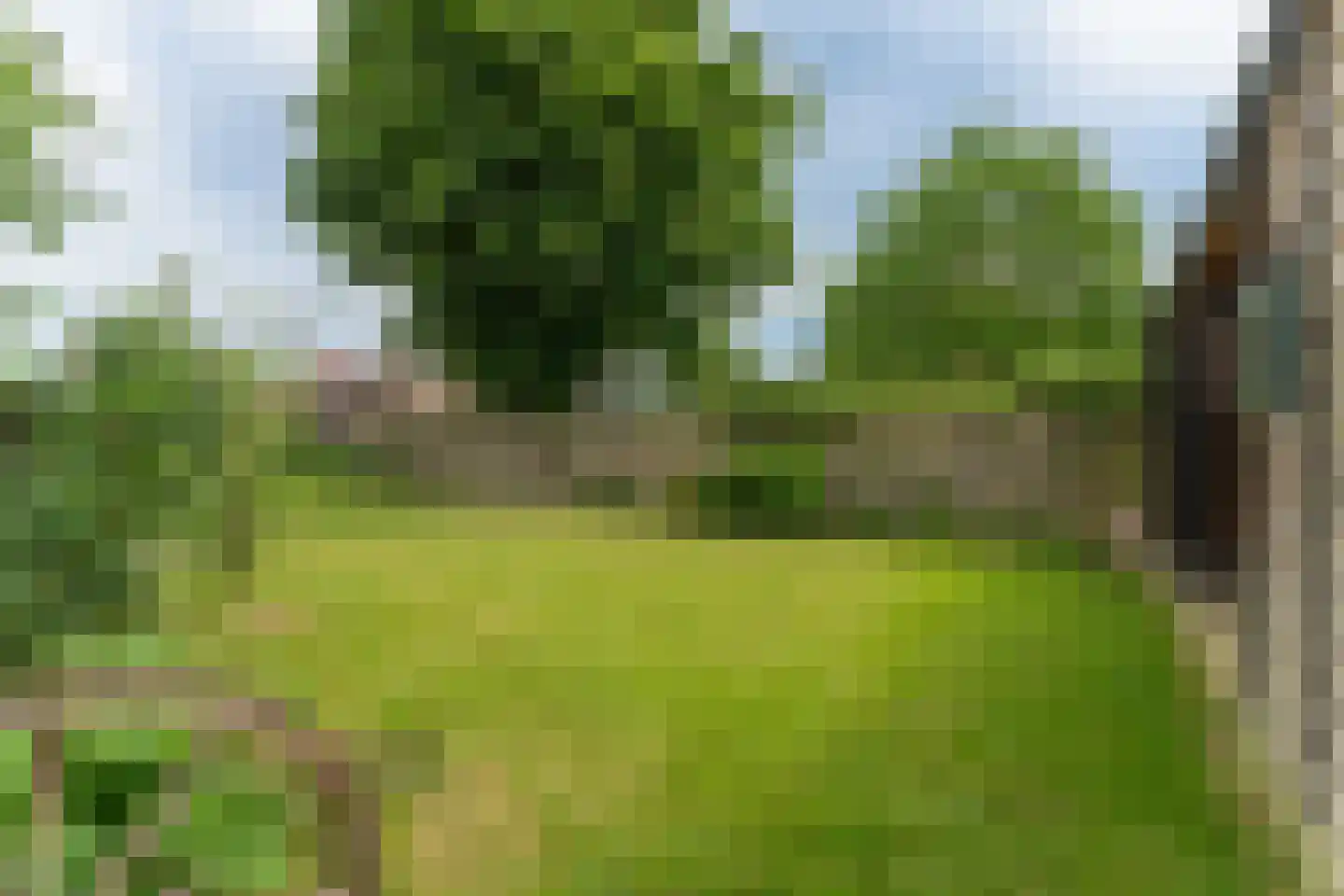 De Buurt 109 Venhuizen thumbnail 6