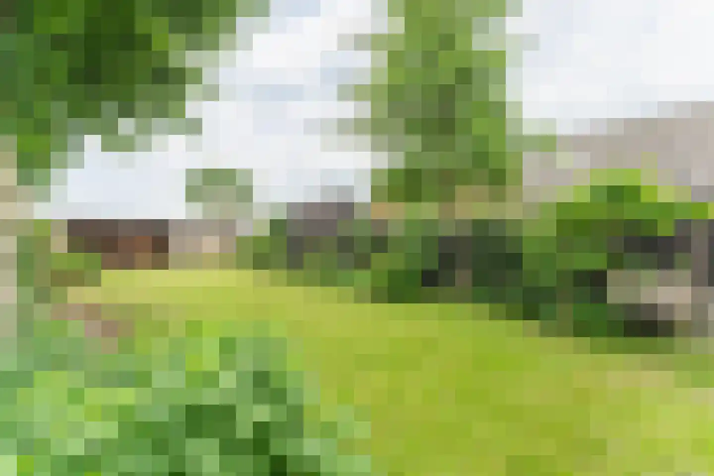 De Buurt 109 Venhuizen thumbnail 61