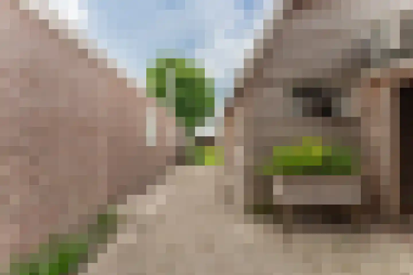 De Buurt 109 Venhuizen thumbnail 62